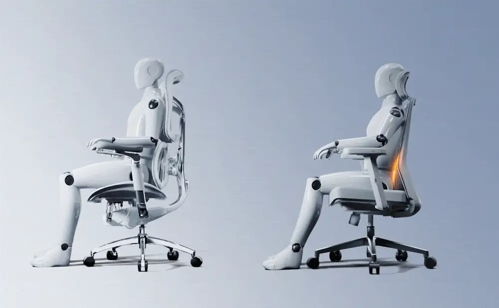 Coordinated support for the full body