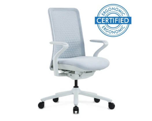 pivot certified ergonomic office chair