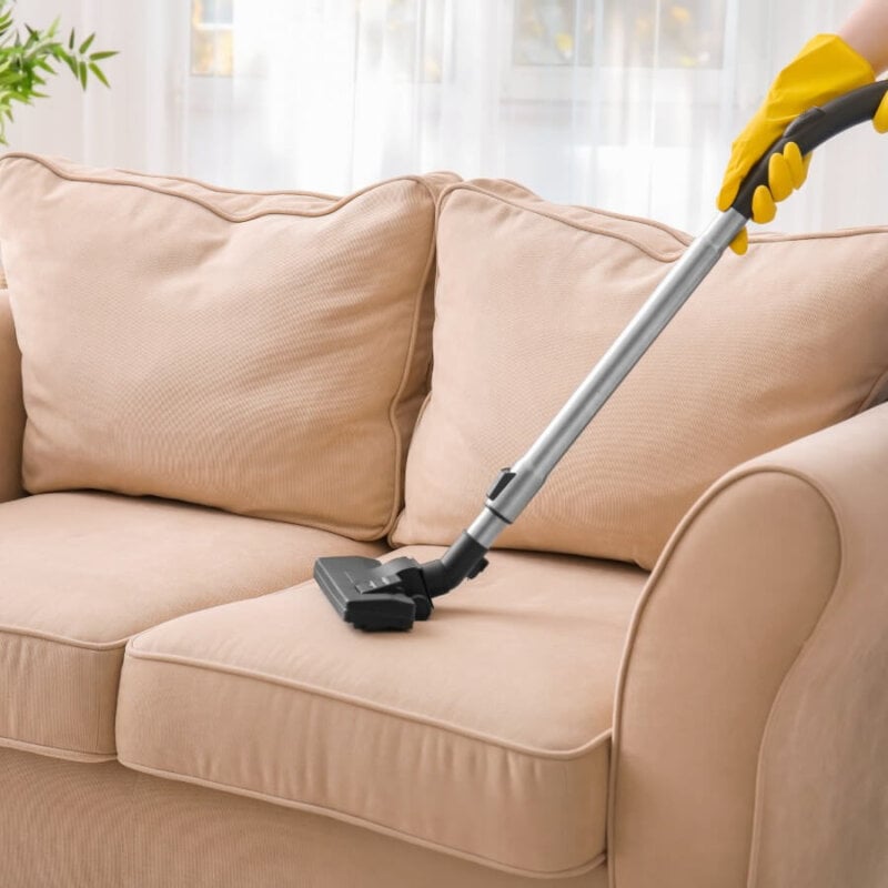 couch cleaning - all office